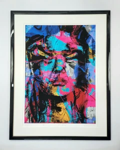 Guezenoc  Alexandre /  Disguise  / grafika cyfrowa /   84 x 65 