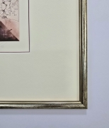 1000031475.jpg