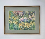 Ratajczyk Marek / Irysy / olej płótno / 71 x 91 