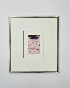 Jiri Brazda  / Festiwal  ogrodowy II  / tech.mieszana /  43 x 38