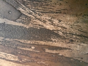 20230616_152809.jpg