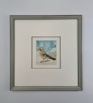 Bocianowski Marian  / Sójka /  grafika / 41 x 40