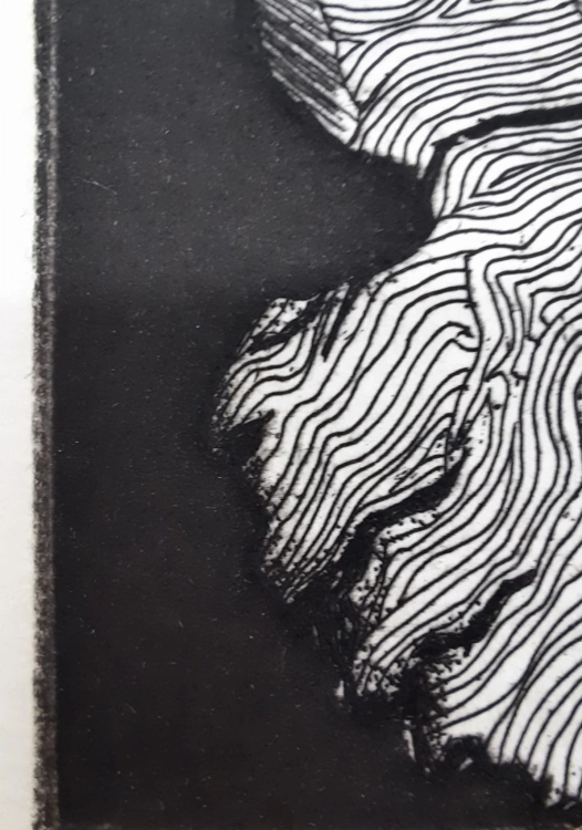 20231119_174836.jpg